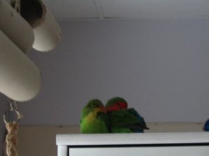 einer der ersten gemeinsamen schlafstÃ¼ndchen.jpg