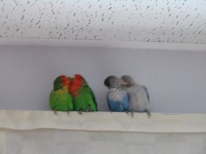 gemeinsame putz und kuschelminuten 3.jpg