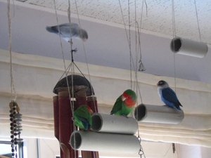 gemeinsame Spielminuten5.jpg