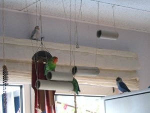 gemeinsame Spielminuten 2.jpg