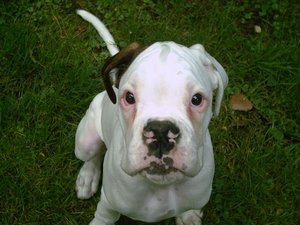 Thor & Wothan 013.jpg