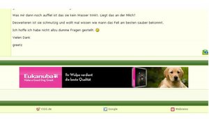 eukanuba bei katzen.jpg