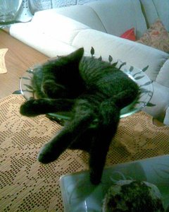 Bild008.jpg Bild008.jpg