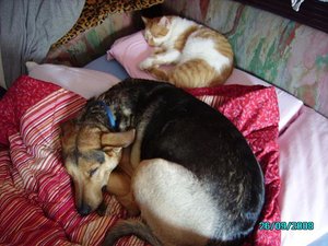 Amica & Gonzo_23.jpg