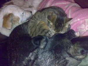 Kopie von bilder 2007 u. 2008 015.jpg