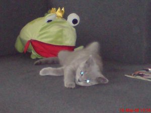 Handy Bilder 067.jpg Handy Bilder 067.jpg