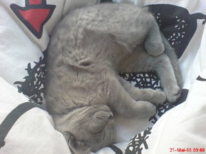 Handy Bilder 086.jpg Handy Bilder 086.jpg