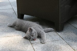 Mio 030.jpg Mio 030.jpg