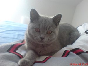 Handy Bilder 074.jpg