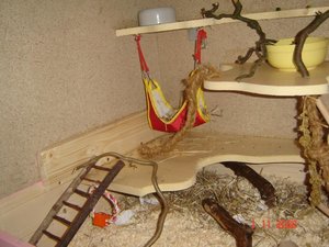 Schloss Käseloch 012.jpg Schloss Käseloch 012.jpg