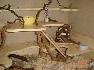 Schloss Käseloch 013.jpg Schloss Käseloch 013.jpg