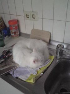 Traumplatz gefunden =).jpg