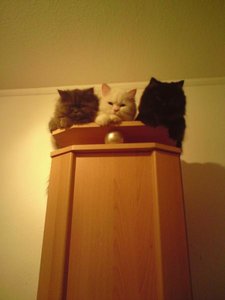 wir sind so cool.jpg