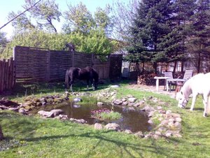 bilder 2007 u. 2008 289.jpg