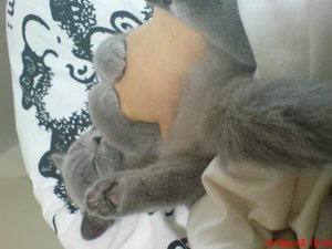 Handy Bilder 080.jpg