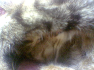 bilder 2007 u. 2008 098.jpg