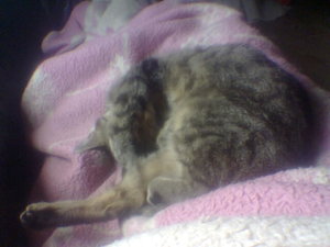 bilder 2007 u. 2008 099.jpg