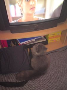 Sima und der Fernseher.jpg