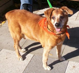 Rickooo sÃ¼ÃŸ.JPG