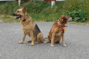 simon schwerin und koppel haus 287.jpg