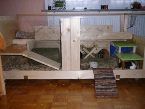 Meine Meerlis im neuen Eigenbau 11.2008 014.jpg