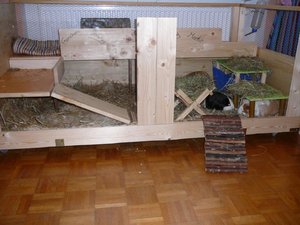 Meine Meerlis im neuen Eigenbau 11.2008 032.jpg