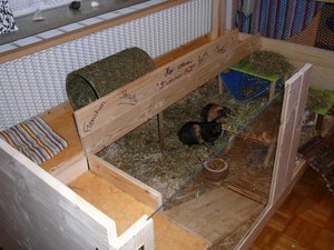 Meine Meerlis im neuen Eigenbau 11.2008 033.jpg