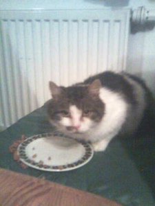 Hermann im neuen Zuhause.jpg