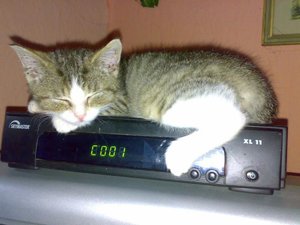 Kopie (3) von 27092008753.jpg