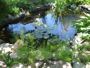 img2170gn3cjqk7pu.jpg img2170gn3cjqk7pu.jpg