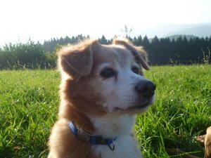 Bild 001.JPG Bild 001.JPG