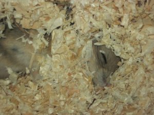 alles Mögliche 006.JPG