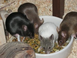 Quatsch mit Sosse 024.JPG