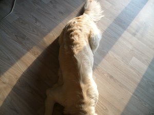 P1030046.jpg P1030046.jpg