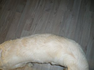 P1030057.jpg P1030057.jpg