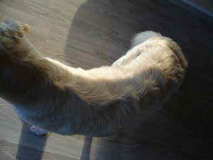 P1030058.jpg P1030058.jpg