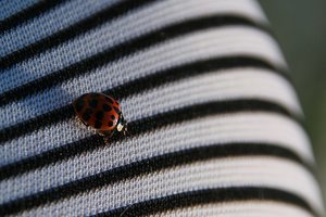 aIMG_7452 - Kopie.jpg