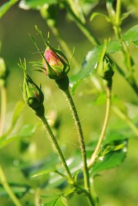 aIMG_7688 - Kopie.jpg