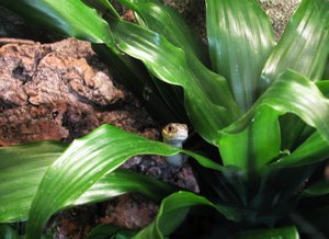 Tf NextTopPet Flecki 08.JPG