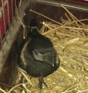 IMAG0438.jpg IMAG0438.jpg