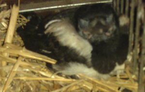 IMAG0437.jpg IMAG0437.jpg