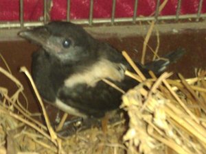 IMAG0439.jpg IMAG0439.jpg