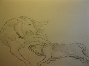 Buddy und Charly Zeichnung.jpg