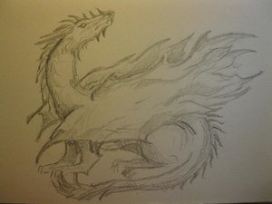 Drache Zeichnung.jpg