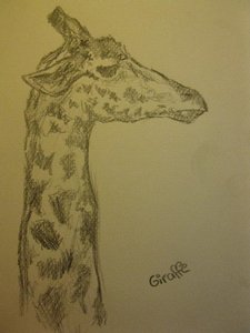 Giraffe Zeichnung.jpg