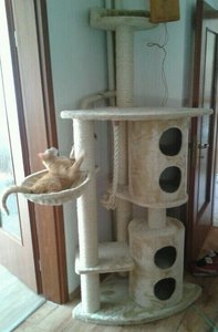 IMG-20120703-WA0003 - Kopie.jpg