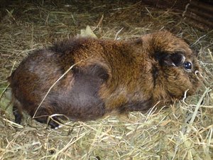 DSC01393 (640x480).jpg