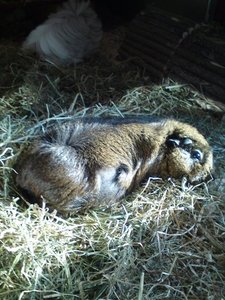 DSC01318 (480x640).jpg