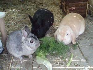 DSC01458 (640x480).jpg