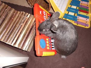 CIMG2976 - Kopie.JPG